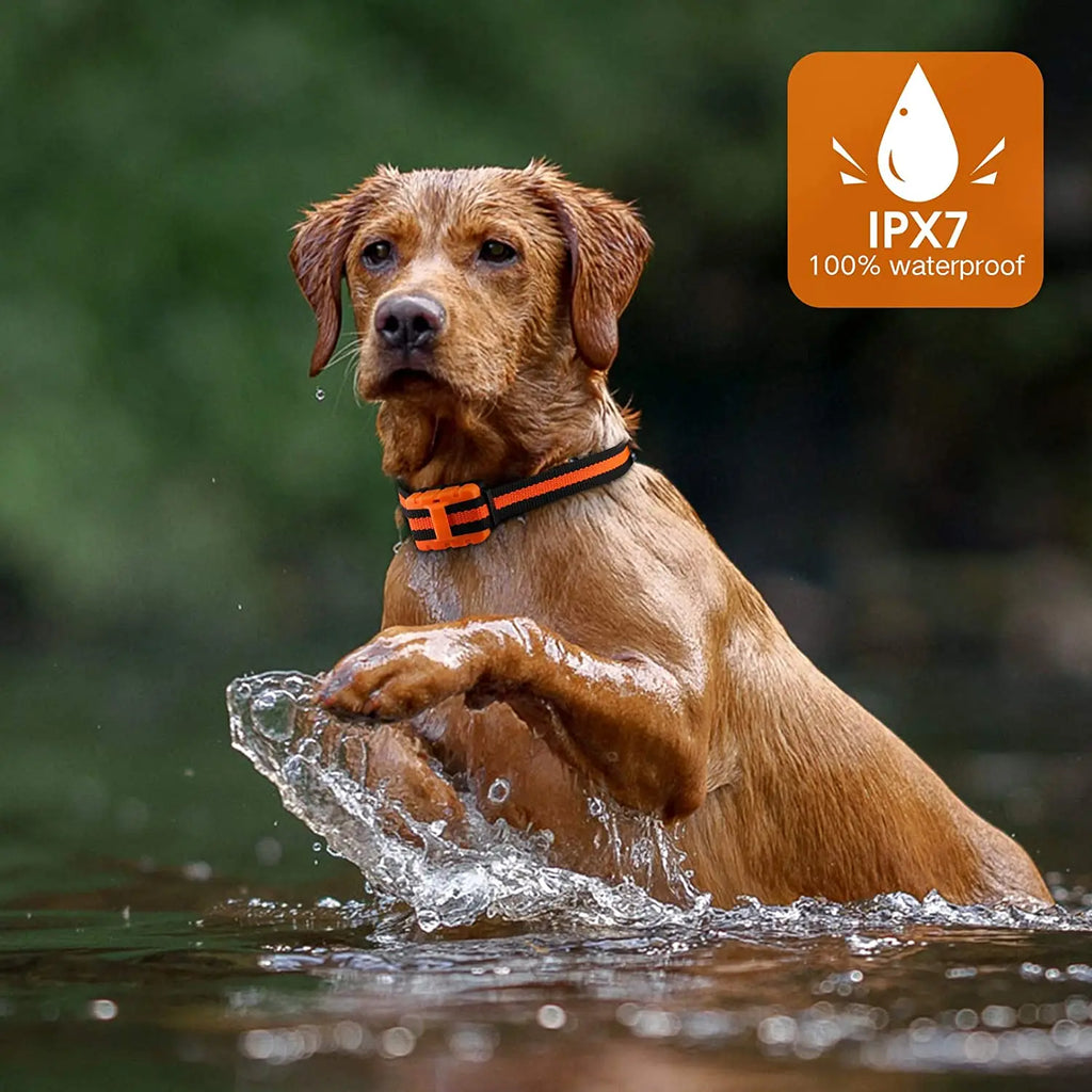 Waterproof Rechargeable Dog Training Collar with Remote | 3 Modes Beep Vibration Shock | 550 Yard Range