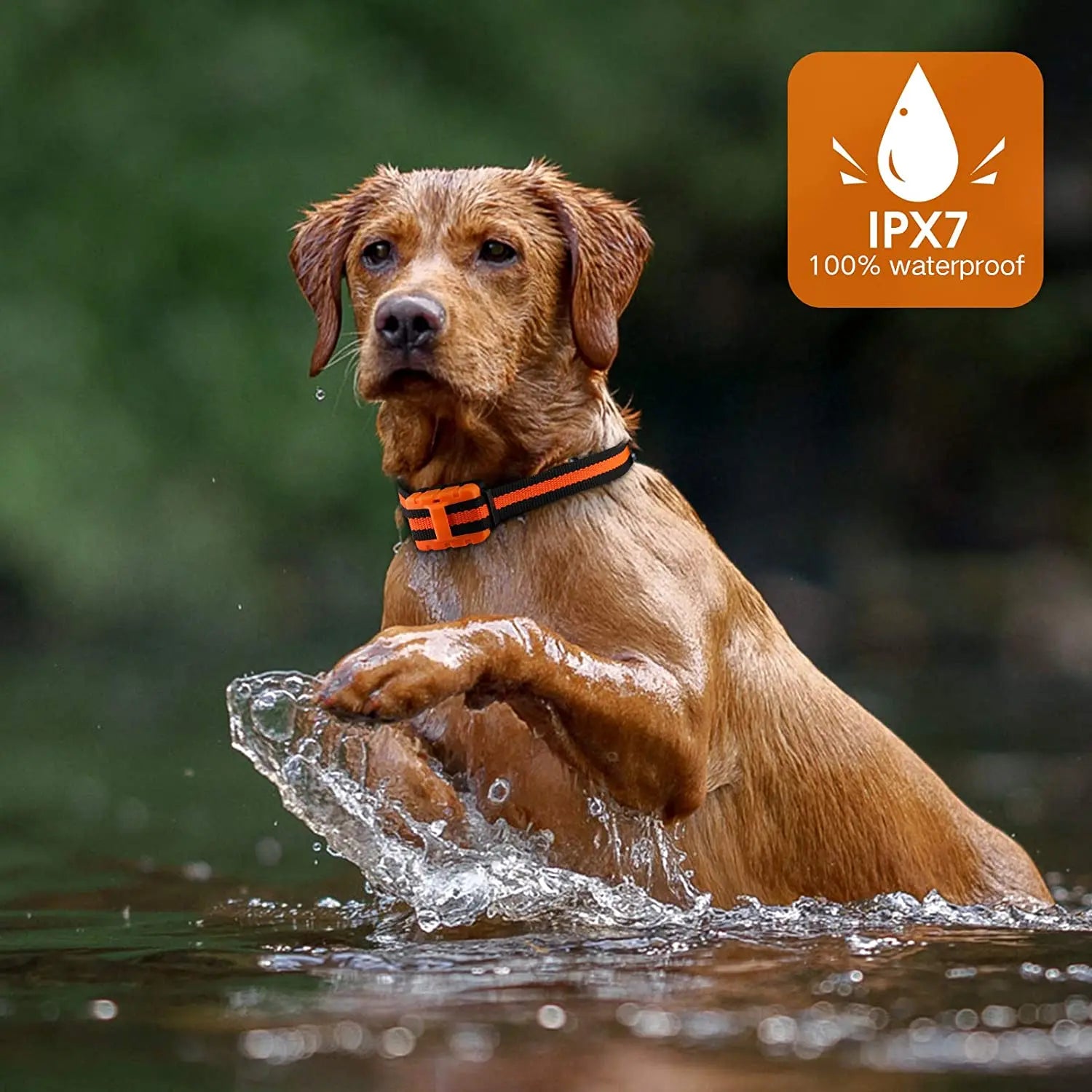 Waterproof Rechargeable Dog Training Collar with Remote | 3 Modes Beep Vibration Shock | 550 Yard Range