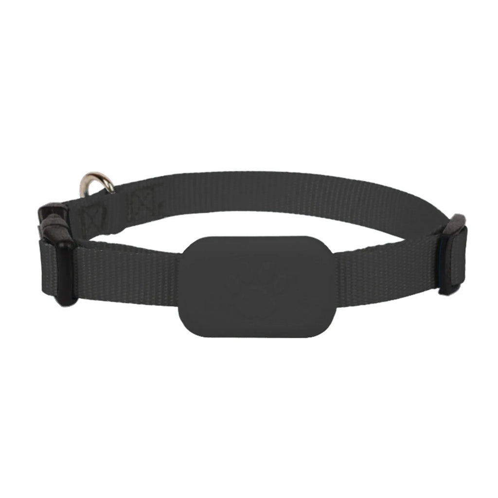 Apple Find My Pet GPS Tracker Collar for Dogs | Anti-Lost Smart Tracking Collar for iOS