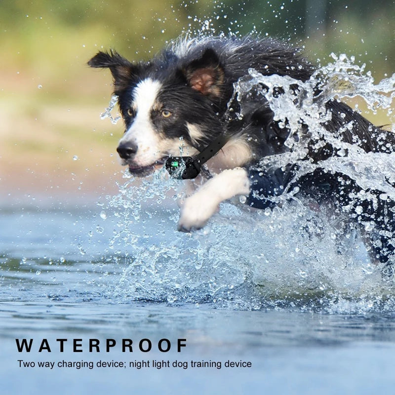 Electric Dog Training Collar | 2600 FT Remote | Shock Vibration Beep | 0-99 Levels | Waterproof | Multi-Dog