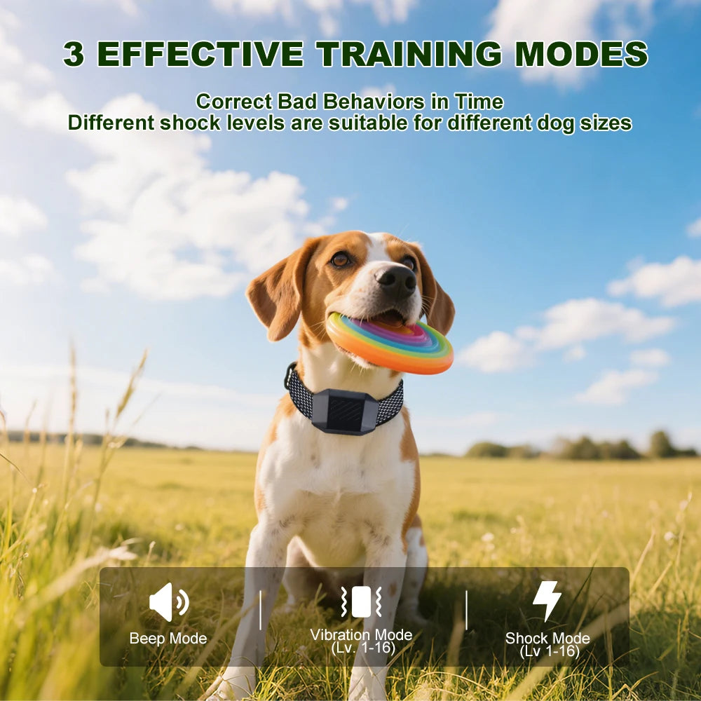 Dog Shock Training Collar | Smart Remote | 2600 FT Range | Waterproof | 3 Modes | 10–110 lbs