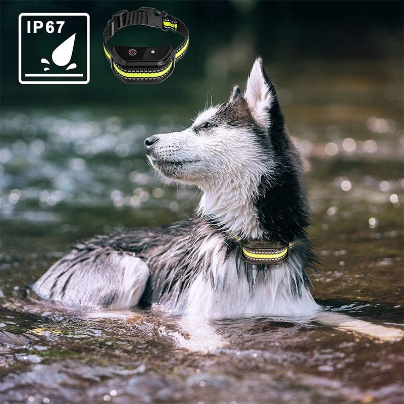 Electric Dog Training Collar | LCD Remote | 1650 FT Range | Shock Vibration Beep | All Size Dogs